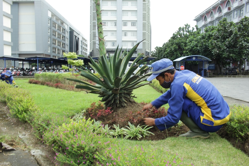 jasa kebersihan area publik